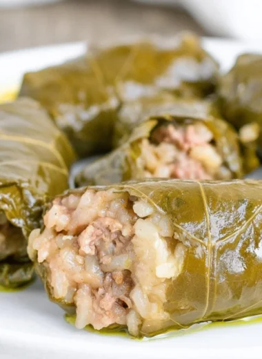 Plate of delicious stuffed grape leaves filled with rice and spices