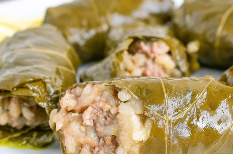 Plate of delicious stuffed grape leaves filled with rice and spices